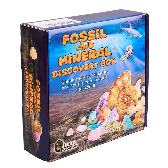 Fossil and mineral discovery box packaging with images of fossils and minerals on a white background