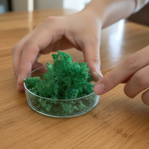 Green seaweed in a clear glass bowl on a wooden surface