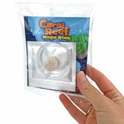Hand holding a package of Coral Reef Magic Rock with a clear plastic cover.