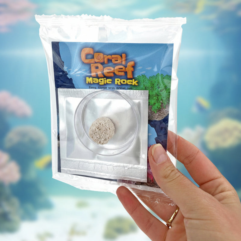 Hand holding a package of Coral Reef Magic Rock with a clear plastic cover.