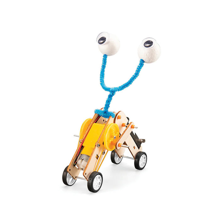 DIY Worm Robot / Ages 6+