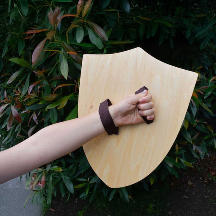 Sword and Shield Dragon