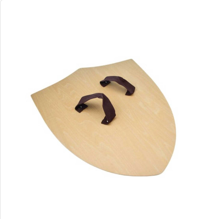 Sword and Shield Dragon