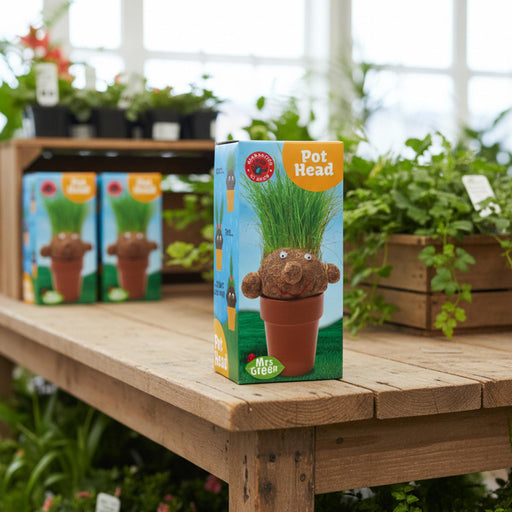 A boxed novelty plant pot product labeled 'Pot Head' and 'Mrs. Green' sits on a wooden table in a greenhouse or plant shop, with similar boxes blurred in the background.