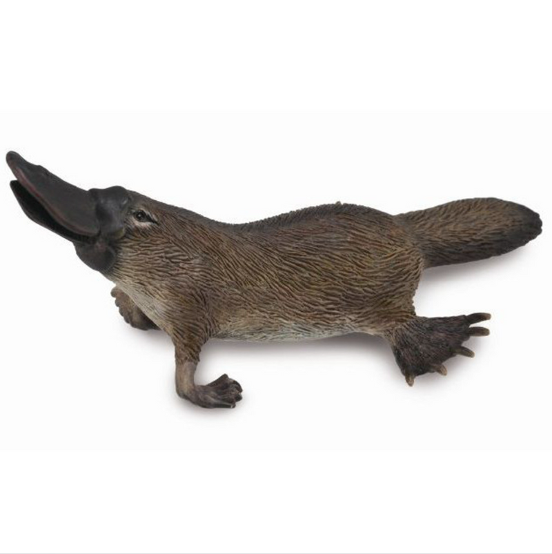 Platypus Toy