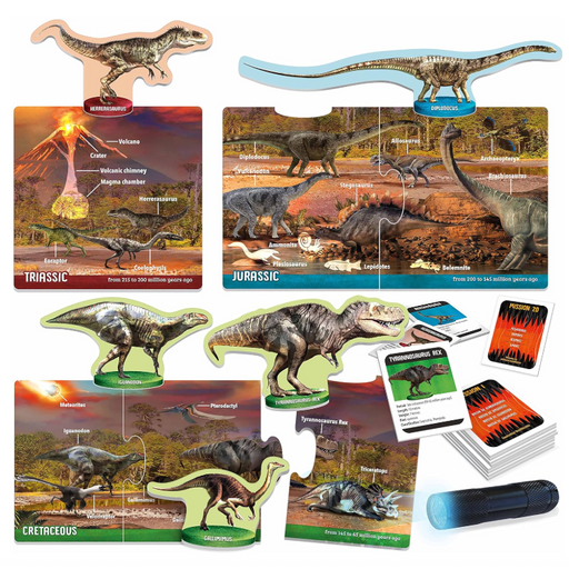 Dinosaurs Under The X-Ray Set