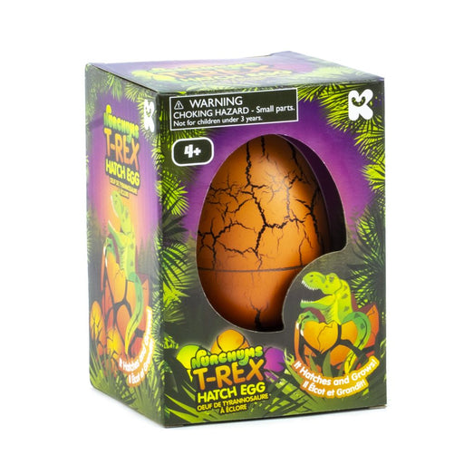t rex hatching eggs in packaging