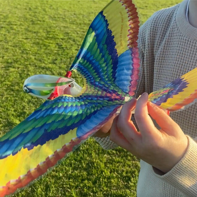 Colorful butterfly kite held by a person against a grassy background