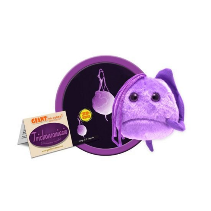 Trichomoniasis (Trichomonas vaginalis)