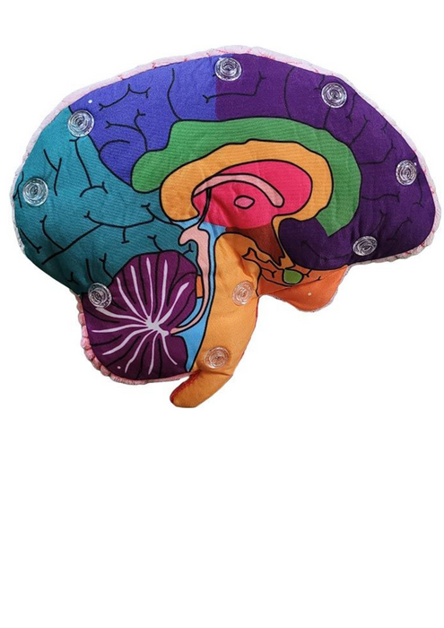 Brain Model Labelled Plushie