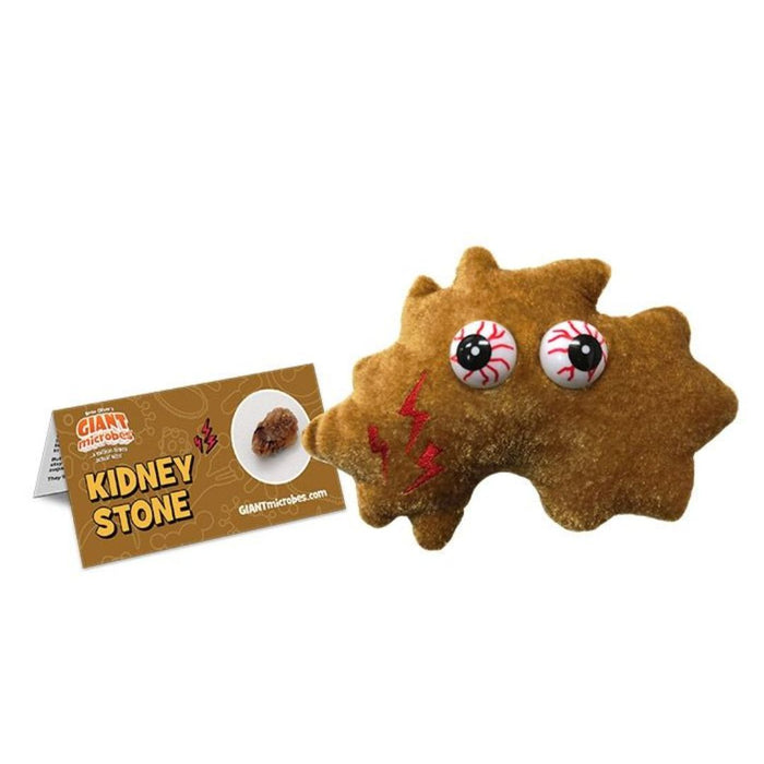 Kidney Stone Giant Microbes