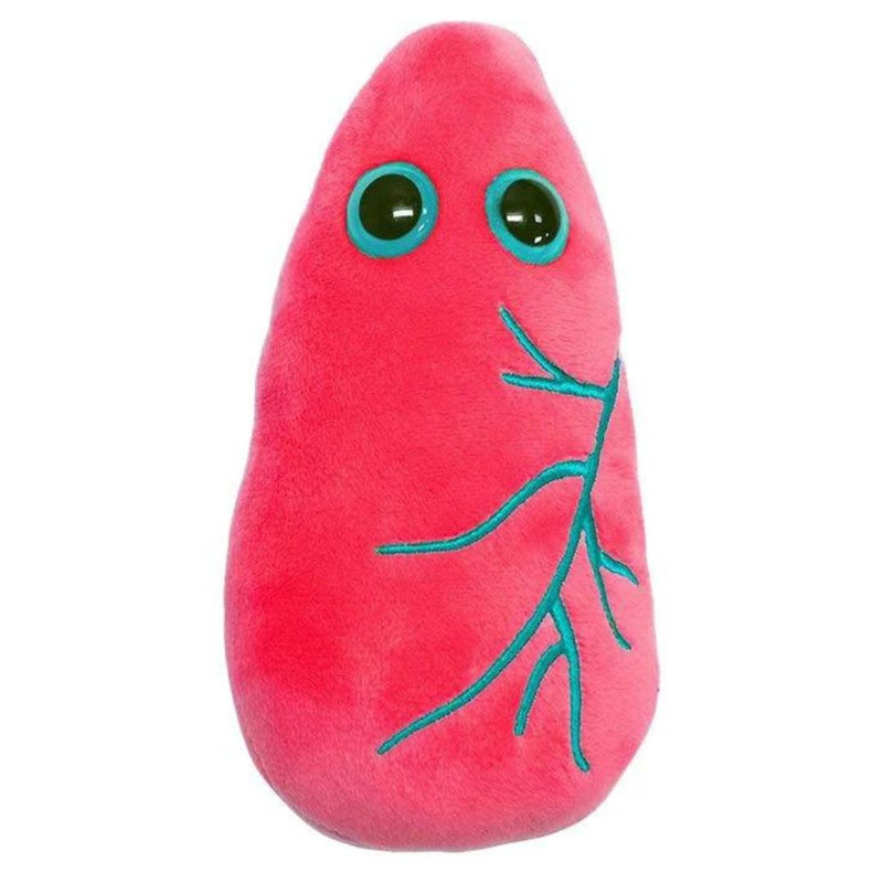 Lung