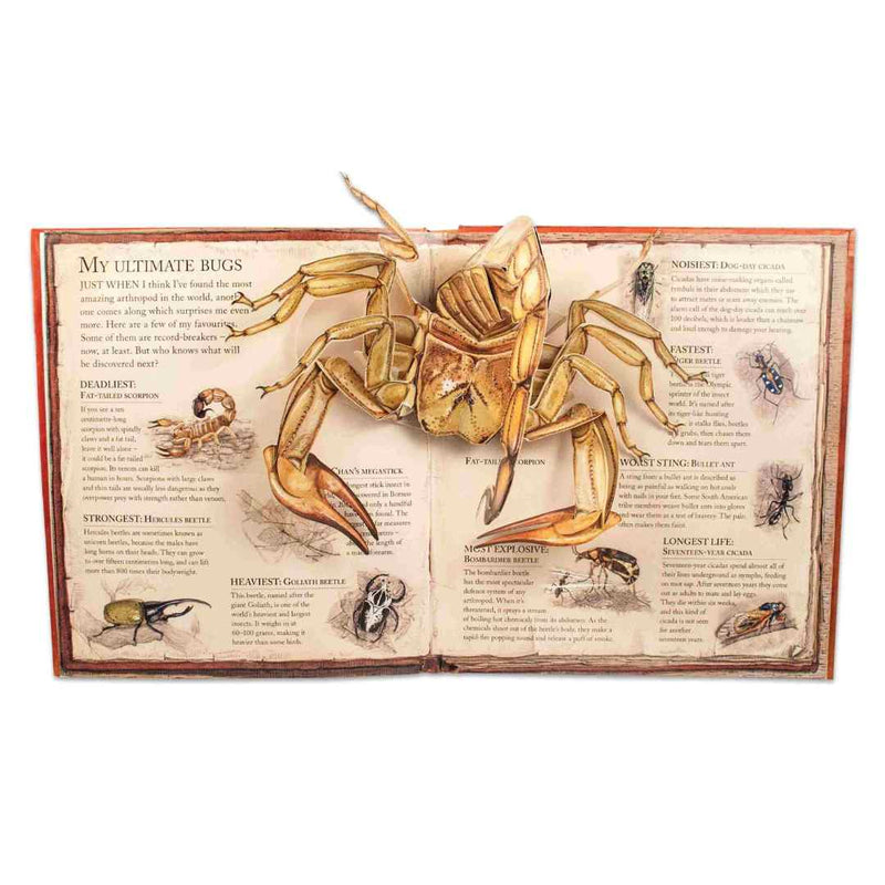 Bugs A Pop-up Journey into the World of Insects