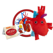xl heart organ with minis