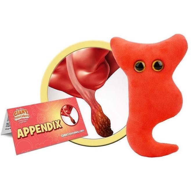 Appendix