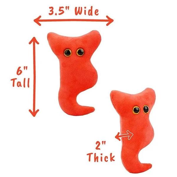 Appendix