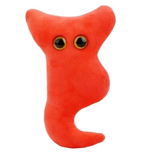 Appendix