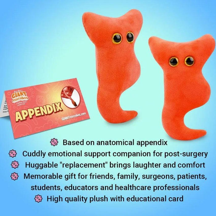 Appendix Organ