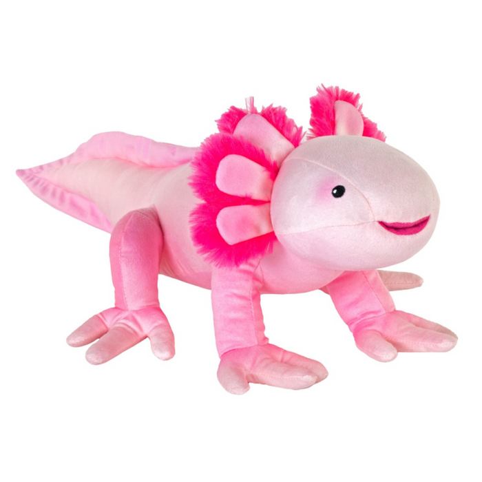 Eco Axolotl