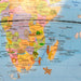 25cm Political Map Animal World Globe Africa