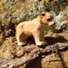 Wudimals Lion Cub