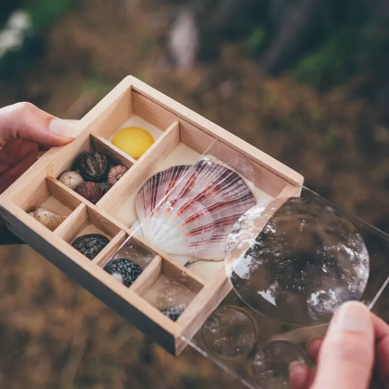 Great Outdoors Bug Box