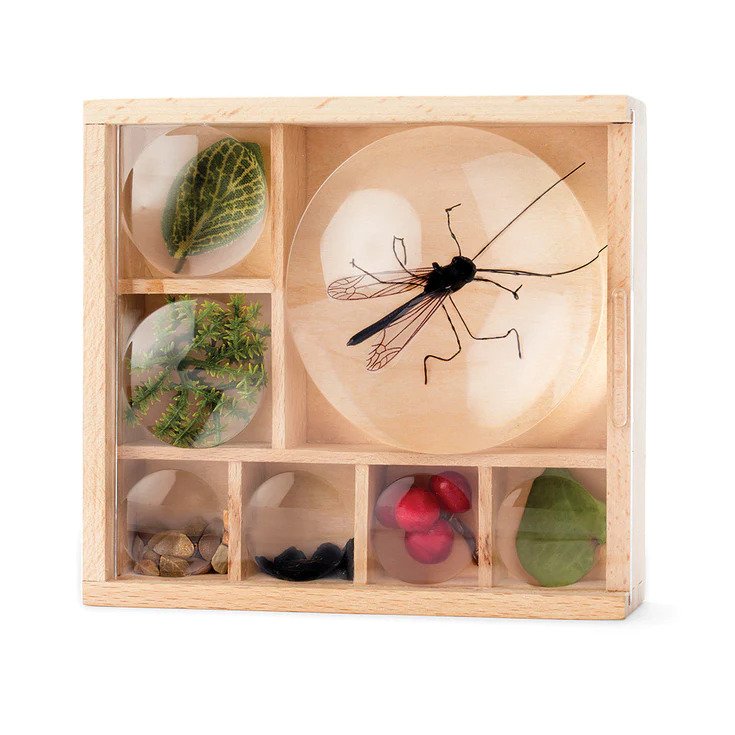 Great Outdoors Bug Box