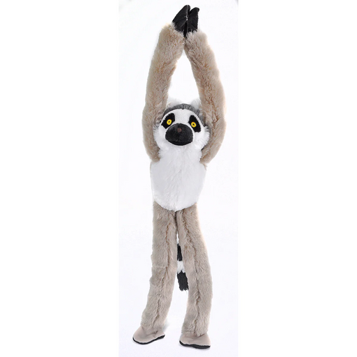 hanging ring tailed lemur front view