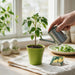 A hand waters a small green potted plant with a metal watering can on a wooden table near a window. A seed packet lies nearby, along with a cloth, salt and pepper shakers, and a plate of greens.