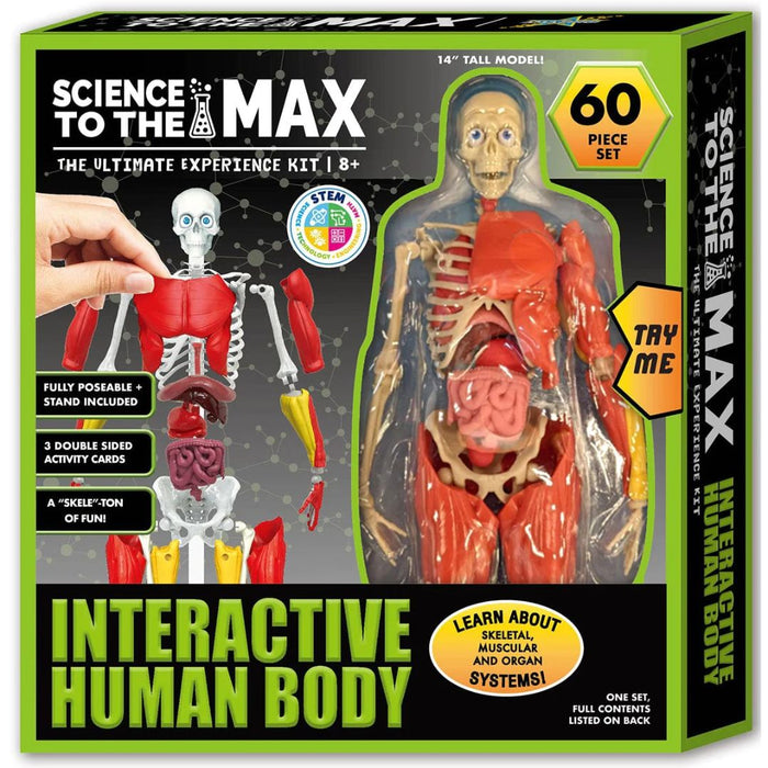 interactive human body science to the max 1