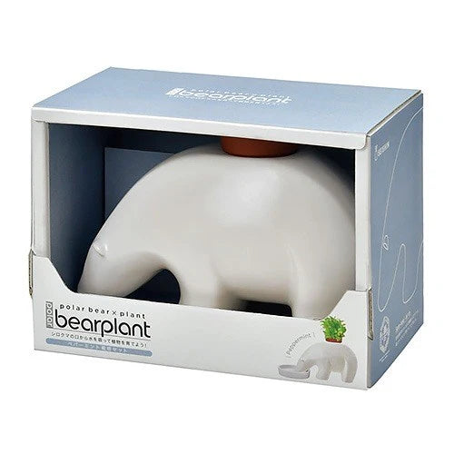 Seishin Polar Bear