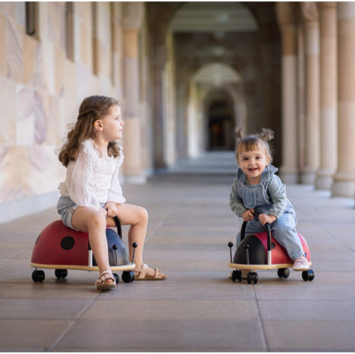 Small Ladybug Wheely Bug 3