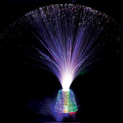 wheeler's lamp optic fibre in use 1