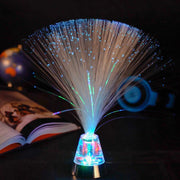 wheeler's lamp optic fibre in use 3