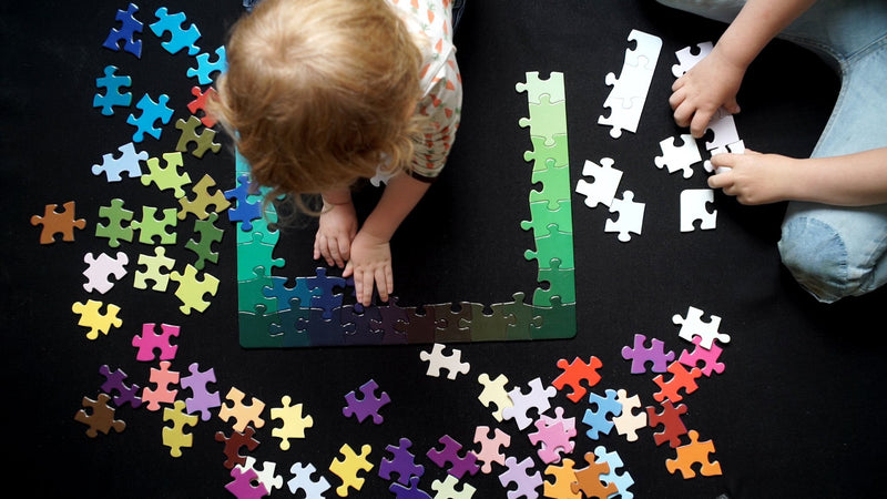 Clemens Habicht 100pc Colour Puzzle boarder