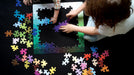 Clemens Habicht 100pc Colour Puzzle played with
