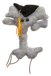 Graduation Brain Cell | Giant Microbe