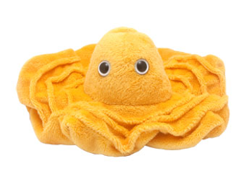 Plasma | Giant Microbe