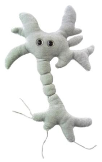 Giant Microbe | Brain Cell