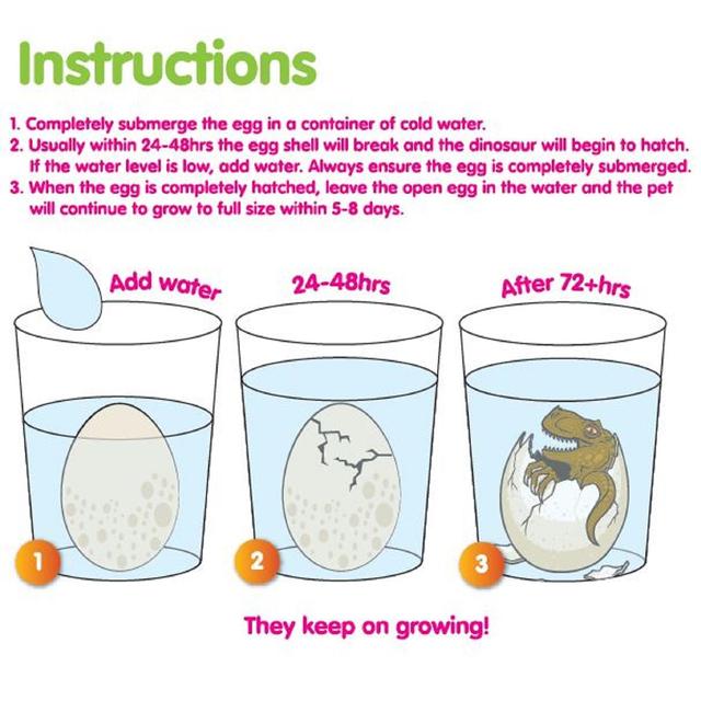 Large Dinosaur In A Egg - Hatch Your Own Dino