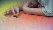 Clemens Habicht 5000 Colour Puzzle being done