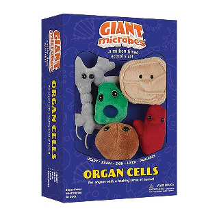 Organ Cells | Gift Box