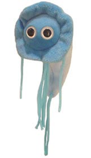 Giardia | Giant Microbe