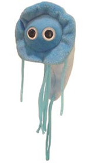 Giardia | Giant Microbe