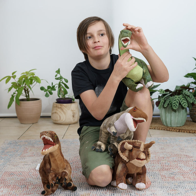 Dinosauria Triceratops Plush
