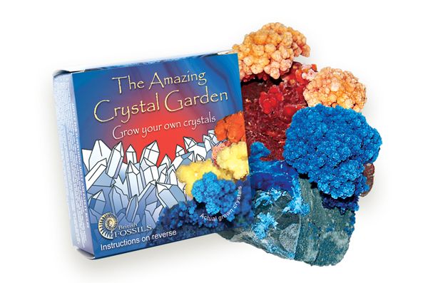 Grow Your Own Amazing Crystal Garden