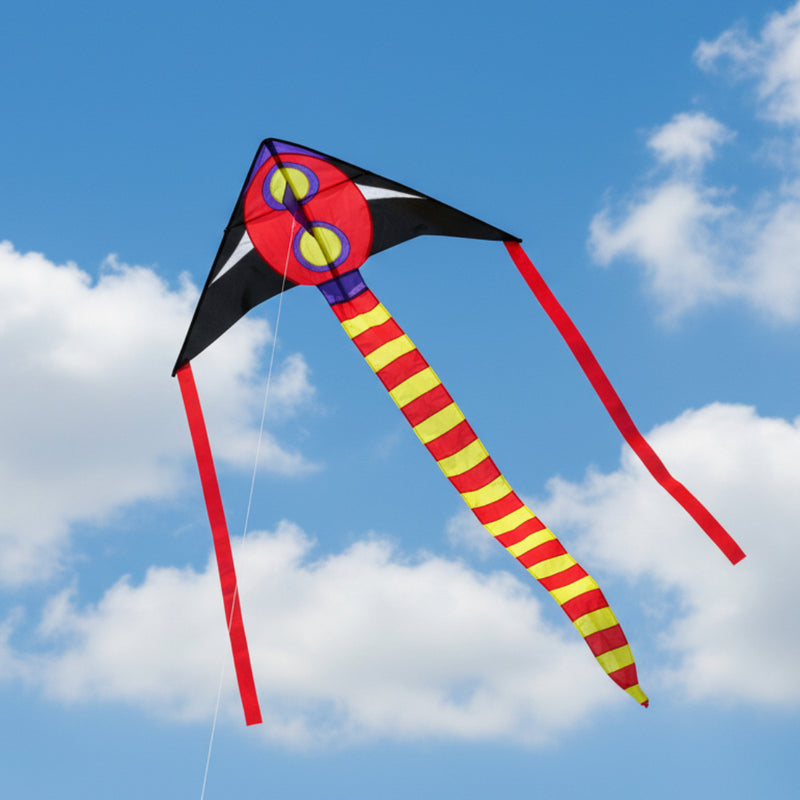 Spaceship Kite