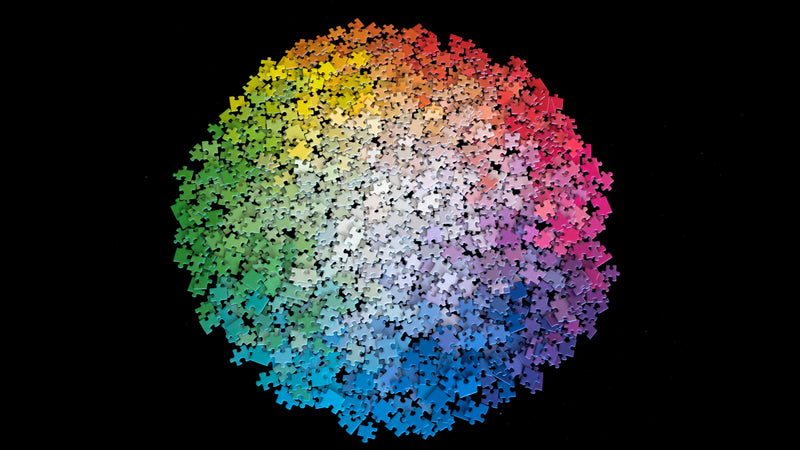 Clemens Habicht 1000pc Jigsaw Puzzle Colour Wheel pices