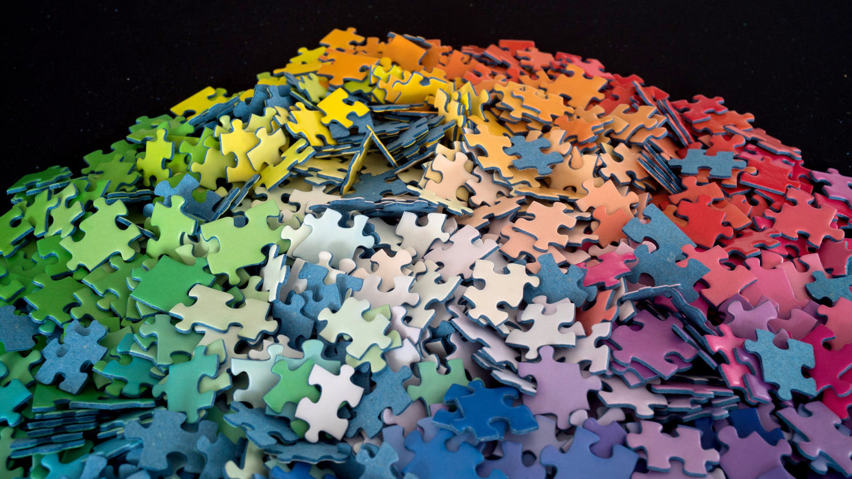 Clemens Habicht 1000pc Jigsaw Puzzle Colour Wheel close up pile
