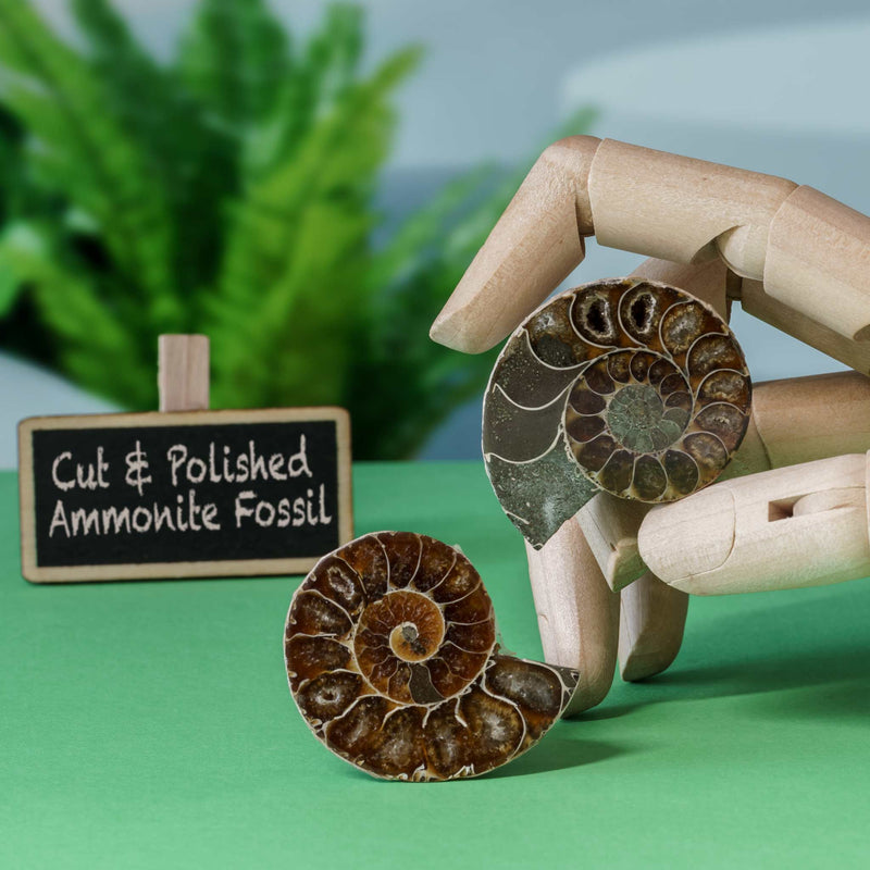 British Fossils - Gemstones